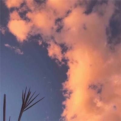 手游永恒边境果盘版下载